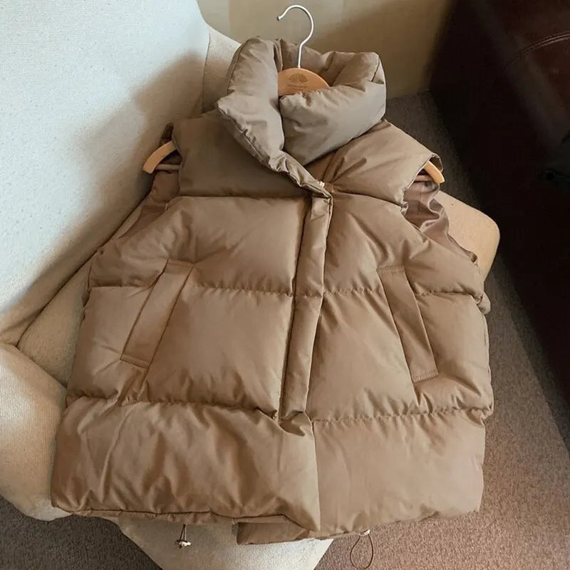 Brown Winter/Fall Jacket